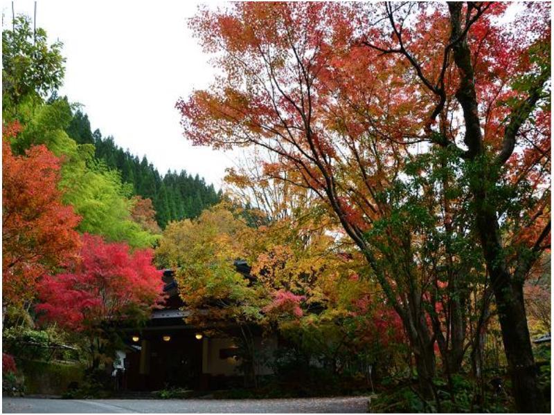 Ryokan Okunoyu Minamioguni Exteriör bild